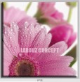 /album/photo-gallery-canvas-uri/decoratiuni-de-perete-canvas-lc-0735-jpg/
